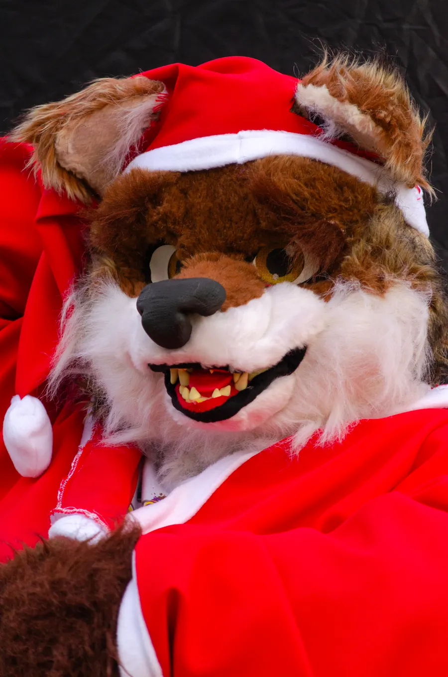 Close-up of a canine fursuit head with a Santa hat, grinning.