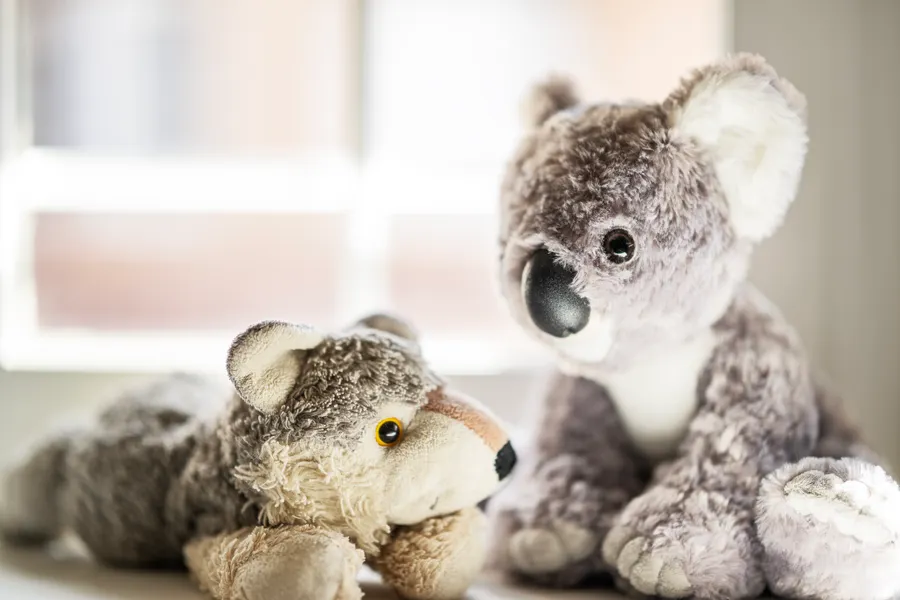 A wolf plush and a koala plush sitting by a sunny window.